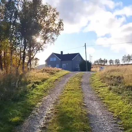 Stenli Retro Проживание в семье *