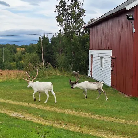 Pansiyon Stenli Retro *