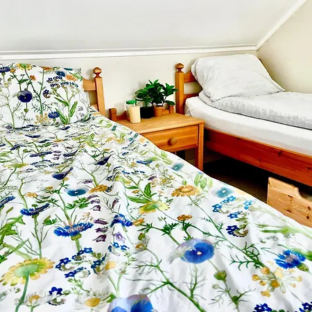 Stenli Retro Homestay Baevkopp